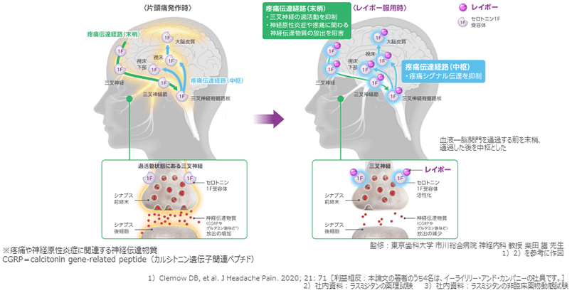 レイボーの作用機序